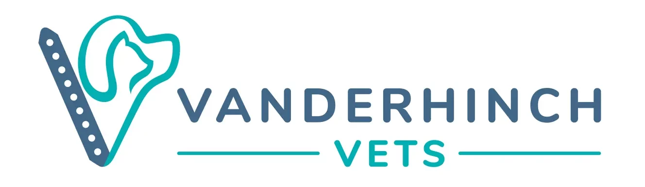 Vanderhinch Vets Long Logo