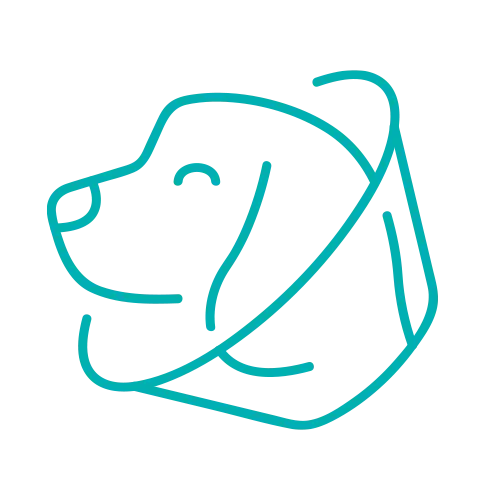 vanderhinch-vets-icon-neurological